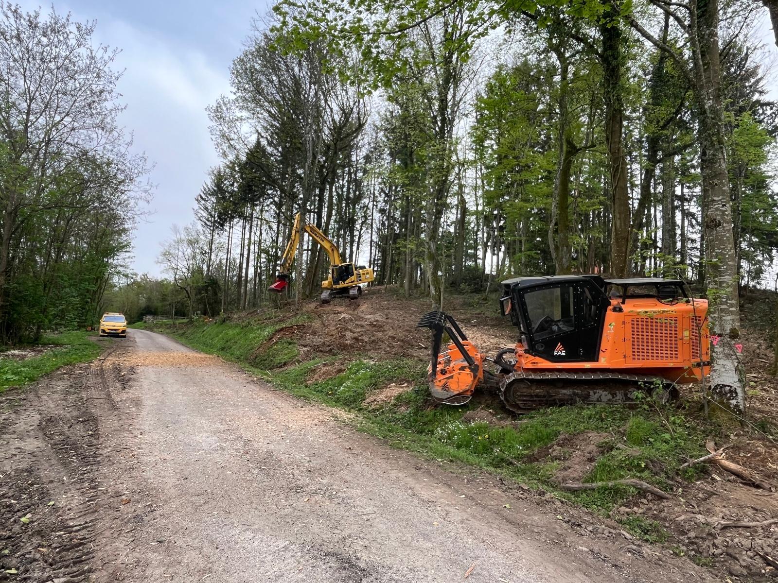 Broyage forestier dans le Jura — SAS POLYVIER